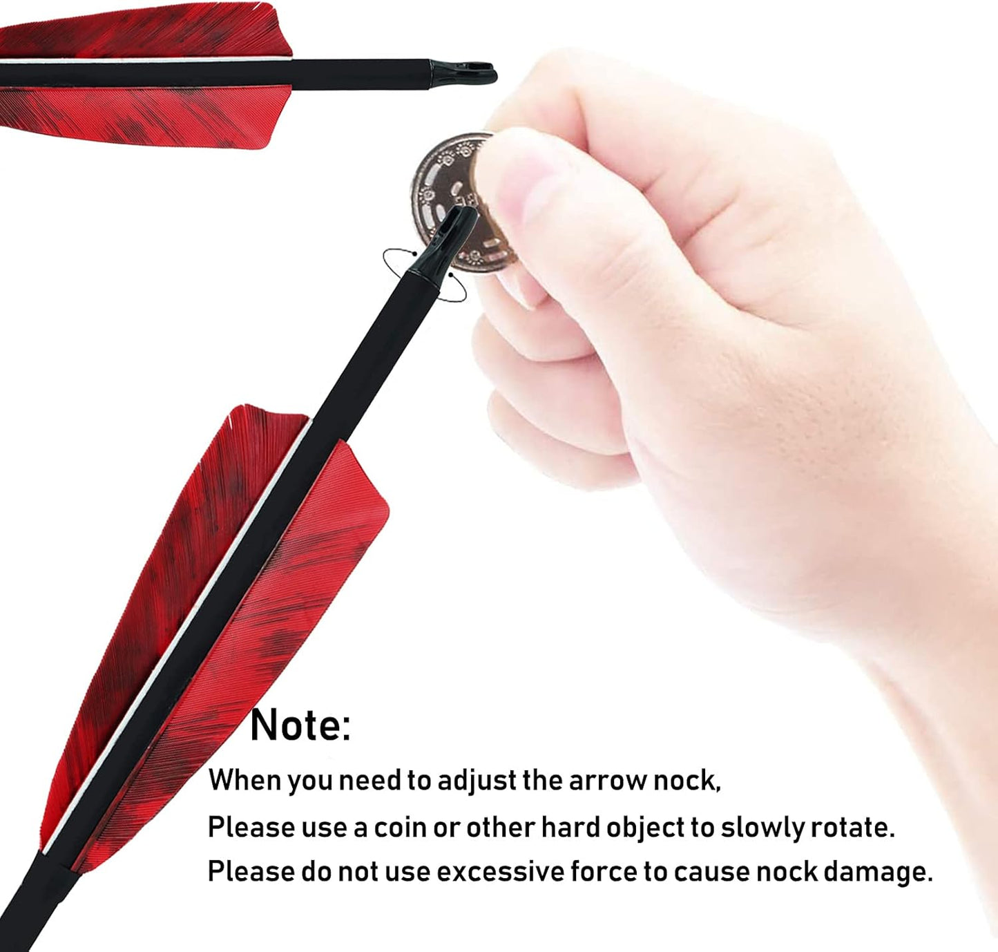 31 inch Carbon Arrows Archery 500 Spine Targeting Practice Arrows Removable Arrow with Feather Fletching Screw Field Points Replaceable Tips for Recurve Bow Compound Bow Long Bow