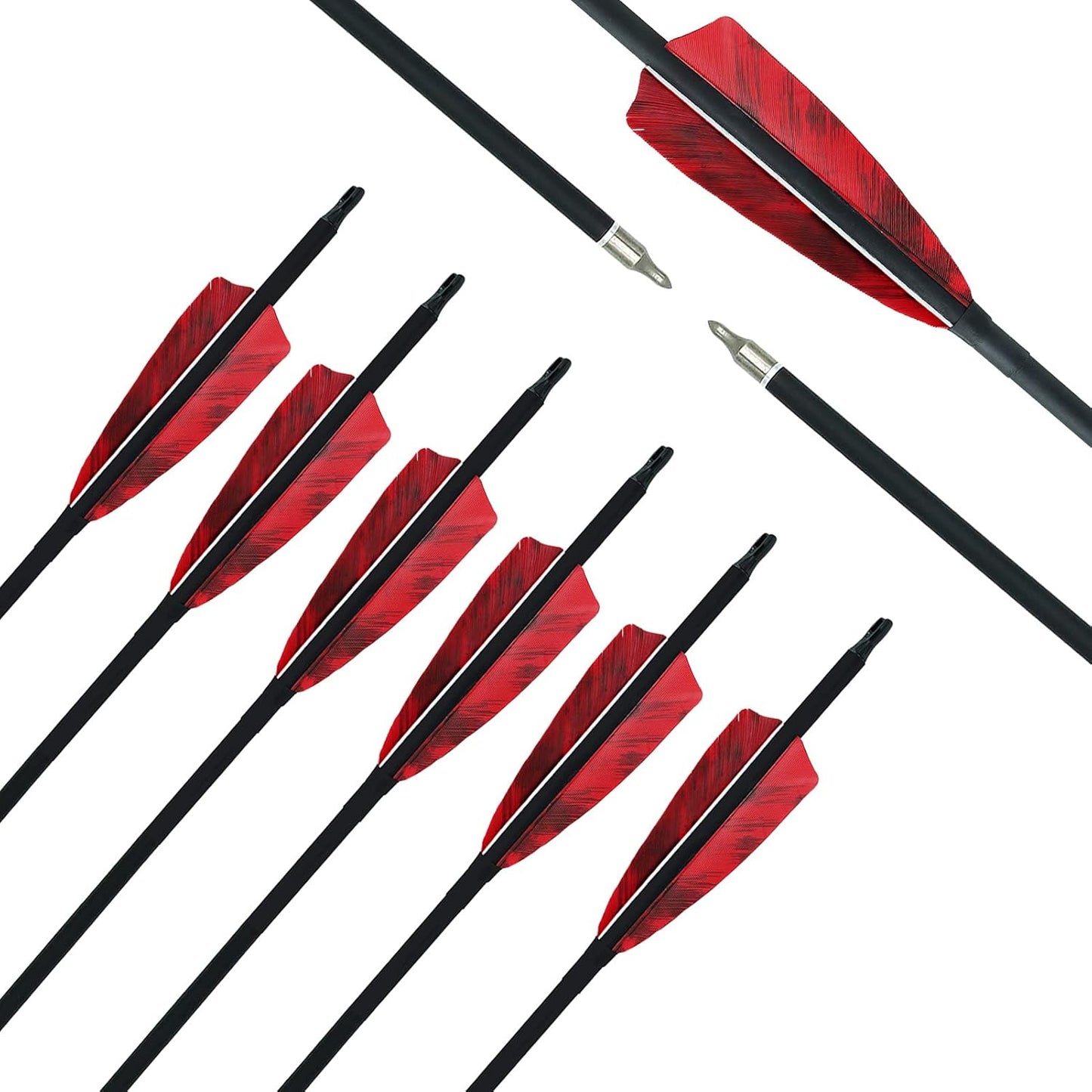 31 inch Carbon Arrows Archery 500 Spine Targeting Practice Arrows Removable Arrow with Feather Fletching Screw Field Points Replaceable Tips for Recurve Bow Compound Bow Long Bow